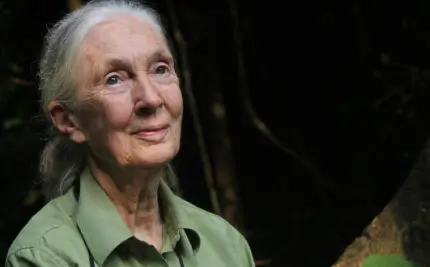 hopelaserie-docuserie-cambio-climatico-soluciones-jane-godall