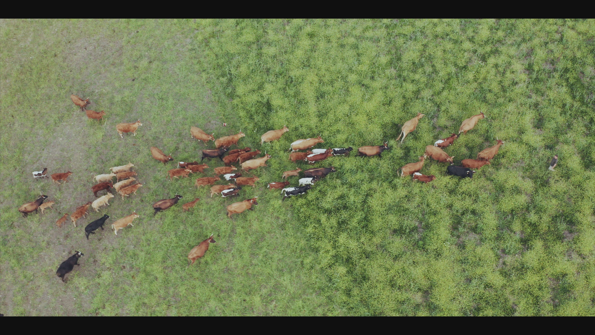 hopelaserie-docuserie-cambio-climatico-javier-pena-38