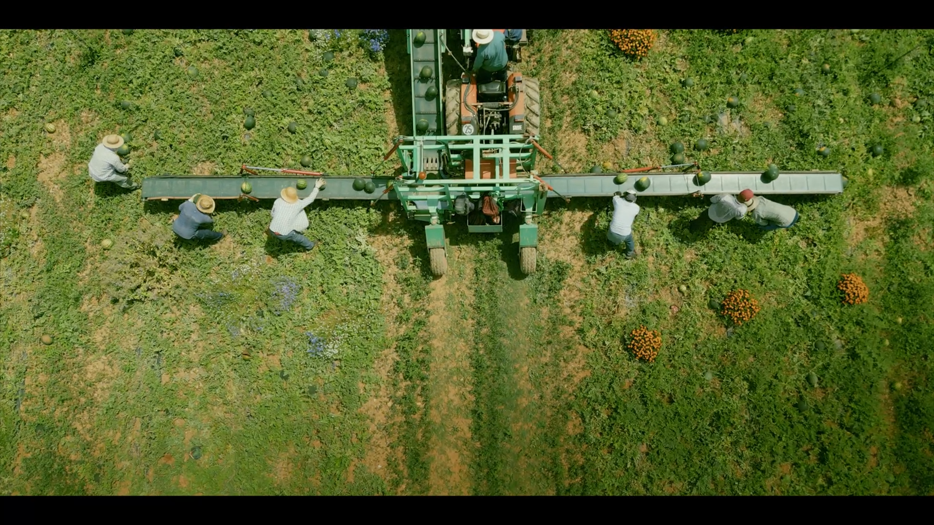 hopelaserie-docuserie-cambio-climatico-javier-pena-47